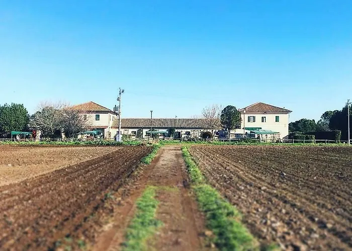 Casale Appio Maison d'hôtes